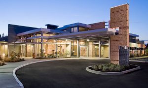 Total Knee Arthroplasty