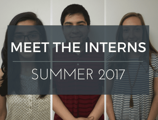 Meet the interns