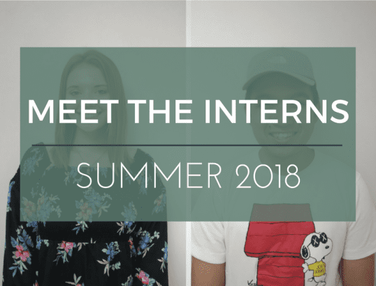 Meet the Interns