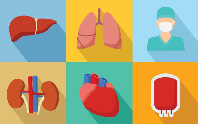The Future of Organ Transplant