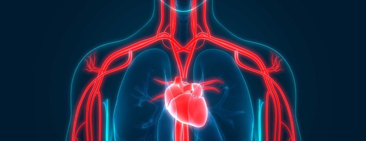 Top 7 Reasons to Become an Organ Donor