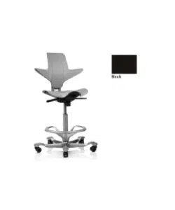 Capisco Chair Model 8010