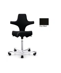 Capisco Chair Model 8106