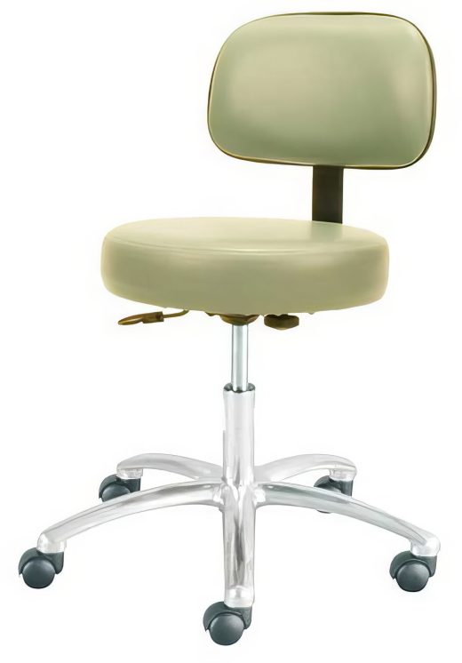 Deluxe Gas Lift Stool w Back